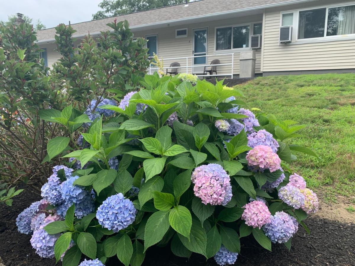 Northeaster Motel Kittery Exterior foto