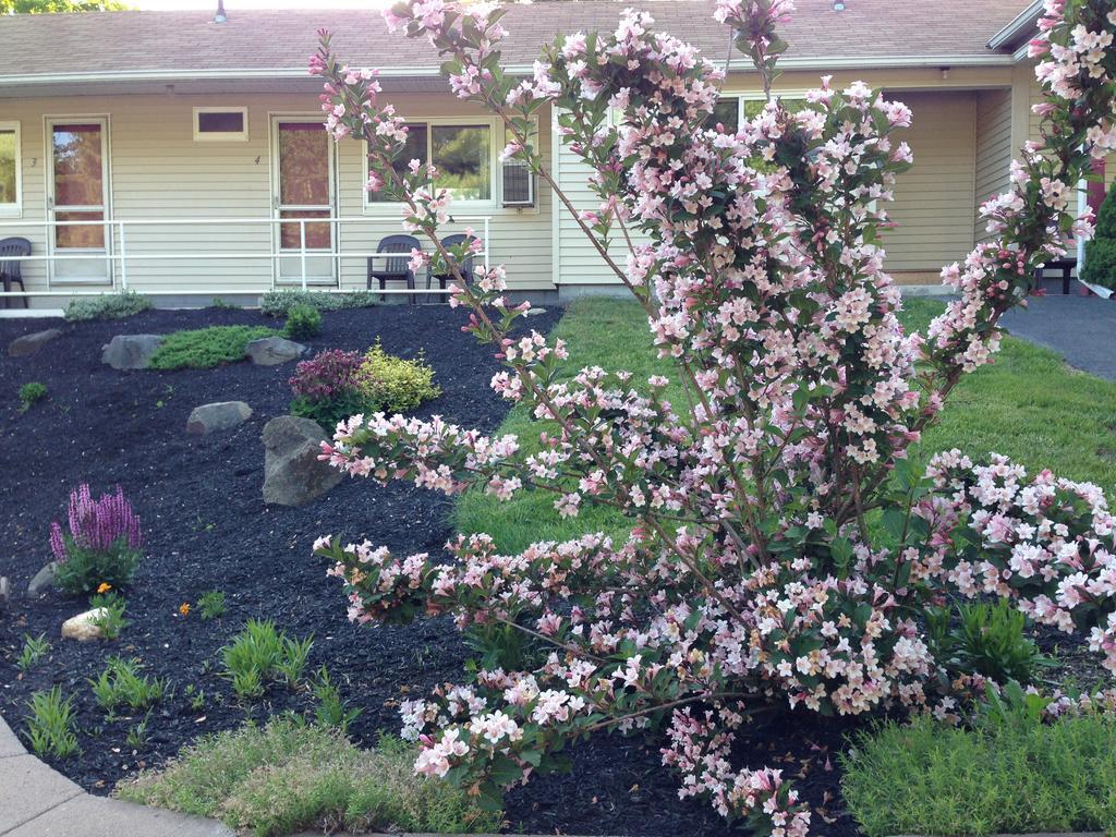 Northeaster Motel Kittery Exterior foto
